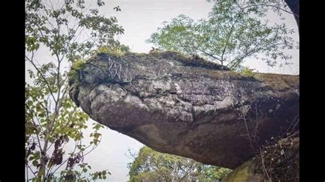 Giant Snake Giant Stone Snake In Thailand Stone Snake Youtube