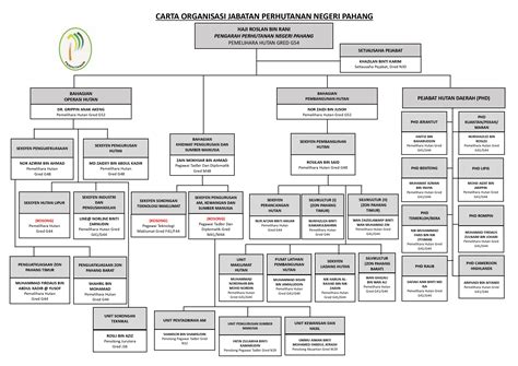 Laman Web Rasmi Jabatan Perhutanan Negeri Pahang Carta Organisasi