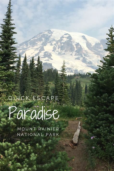 Day Trip Hiking In Paradise At Mount Rainier What Hikes Have The