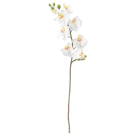 Smycka Artificial Flower Orchidwhite 60 Cm Ikea