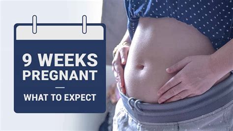 Weeks Pregnant Symptoms Baby Development And Tips