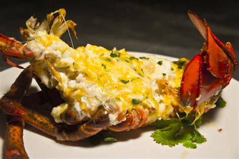 Cheese Baked Lobster Lobster Recipe Lobs Flickr