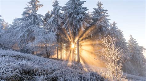 Die Wetterwoche Im Schnellcheck Der Winter Bringt Schnee Und Glätte