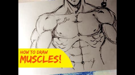 Top How To Draw Muscular Body Anime Lifewithvernonhoward Com
