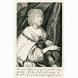 Alethea Howard (nee Talbot), Countess of Arundel (1585-1654) - BRITTON ...