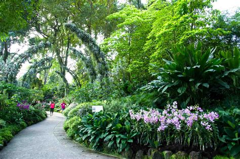 Singapore Botanic Gardens Restaurant Orchid Garden Fasci Garden