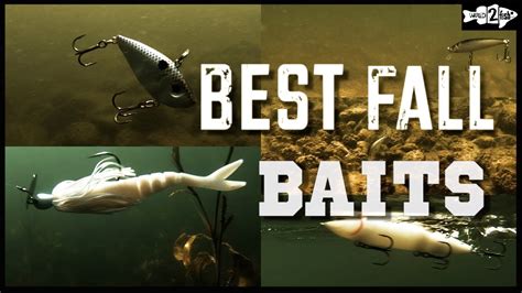 5 BEST BAITFISH BASS LURES For Fall Bass Fishing YouTube
