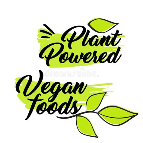 Organic And Vegan Logo Labels Stock Vector Illustration Of Health