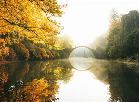 Wallpaper Sunlight Trees Landscape Forest Fall Leaves Lake