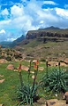 Lesotho & the Sani Pass: Adventure to the Kingdom in the Sky | Lesotho ...