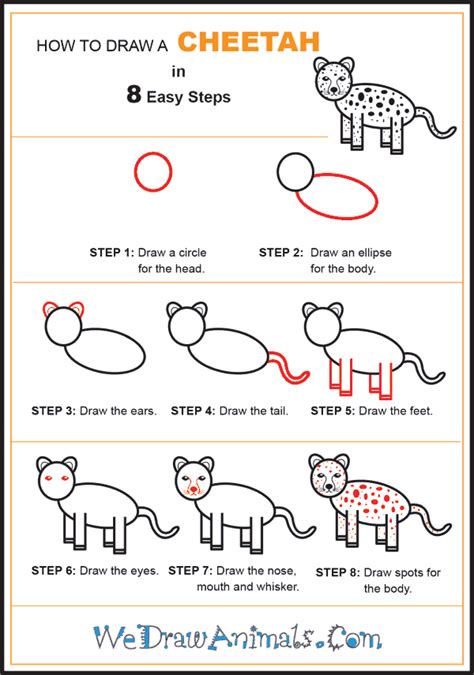 Cheetah Drawing Easy Learn To Draw African Animals Simple Diys Kids