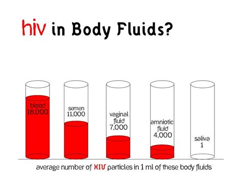 Hiv In Body Fluids Blood