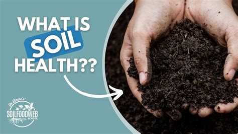 The Soil Food Web Movement Part 1 Understanding Soil Health YouTube