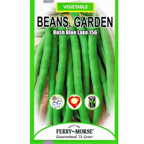 Twice as efficient as ordinary grow lights. Ferry-Morse Garden Bean Bush Blue Lake 156 Seed-8581 - The ...