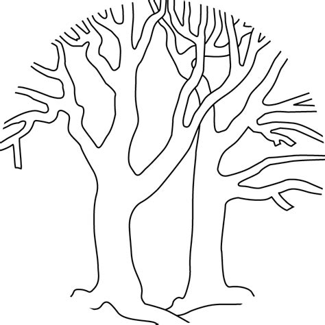 Bare Tree Coloring Page Coloring Home