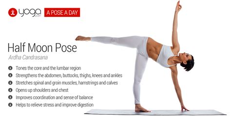 The revolving half moon pose balancing twist involves a. Half moon pose, strengthens the abdomen and helps to ...