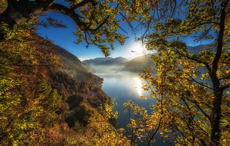 Wallpaper Autumn Trees Mountains Branches Lake Switzerland
