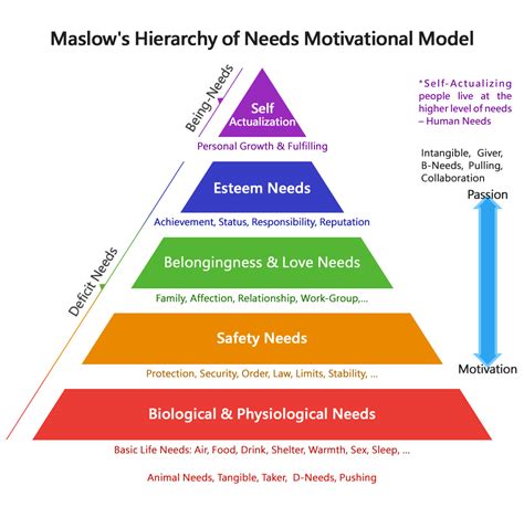 Maslows Theory Of Motivation And Hierarchy Of Needs Porn Sex Picture