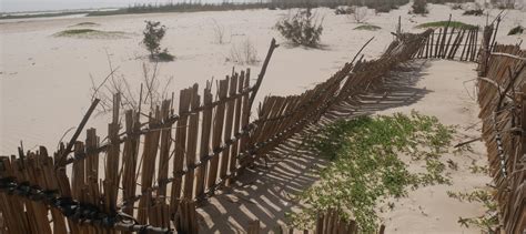 Des solutions douces pour lutter contre l’érosion côtière au Sénégal ...