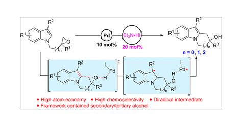 Pd Et3NHI Catalyzed Intramolecular CH Alkylation To Access A