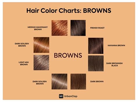 Ash Brown Hair Color Chart