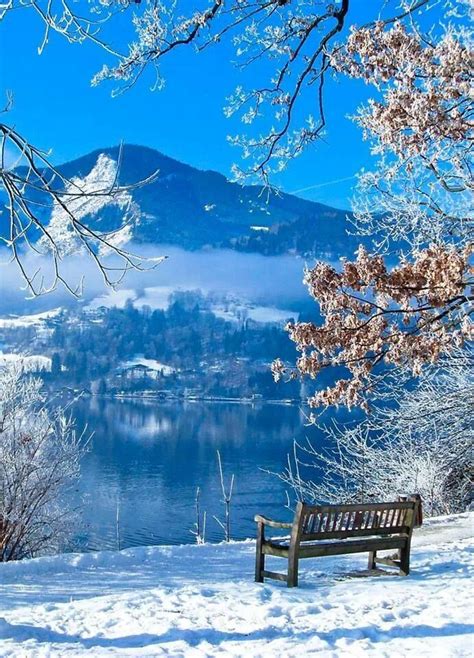 Sunny Winter Morning Winter Landscape Photography