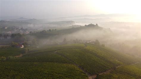 Vineyard Aerial View In Langhe Piedmont Italy 15255708 Stock Video At