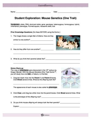 Download as doc, pdf, txt or read online from scribd. Student Exploration Meiosis Gizmo Answer Key : : Student ...