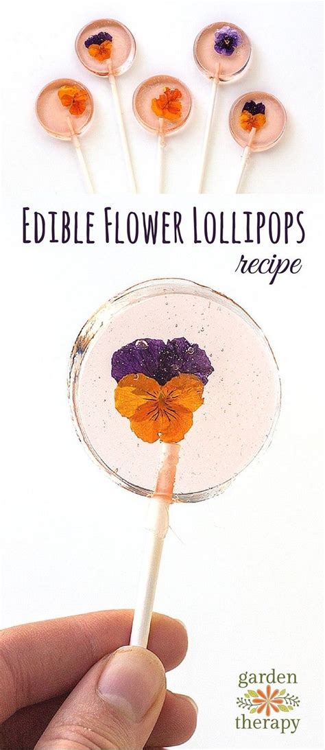 How To Make Edible Flower Lollipops Flower Desserts Köstliche Desserts