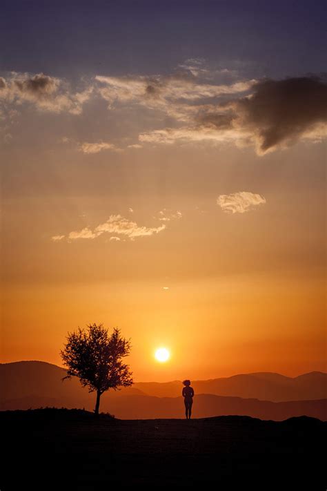 4k Free Download Silhouette Sunset Tree Loneliness Sunlight Hd