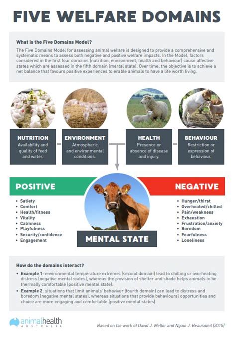 Improving Livestock Welfare Animal Health Australia