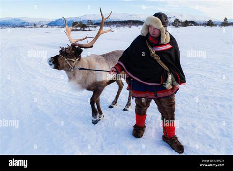 Cultura Sami Fotografías E Imágenes De Alta Resolución Alamy