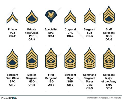 Army Ranks Clipart 20 Free Cliparts Download Images On Clipground 2023