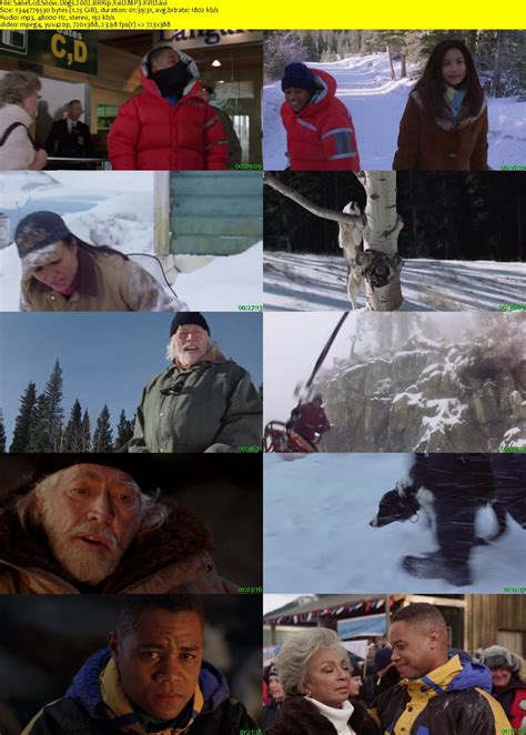 Snow Dogs 2002 Brrip Xvid Mp3 Xvid Softarchive