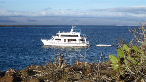 Galapagos Cruises Fragata Campus Adventures