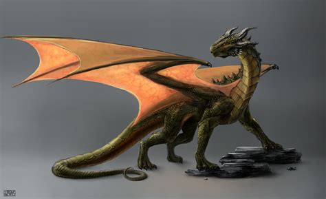 Dragon Concept Art By Rofelrolf On Deviantart