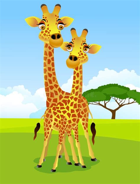 Male And Female Giraffe Stock Vector Illustration Of African 19460703