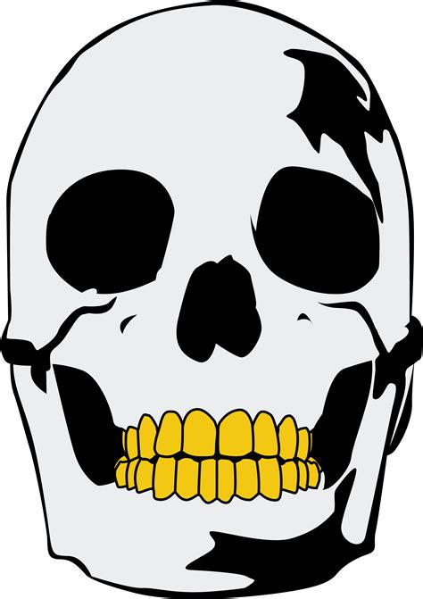 Skull Clipart Full Size Clipart 3908770 Pinclipart