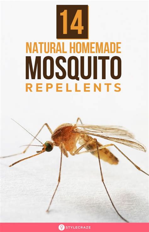 Maybe you would like to learn more about one of these? Homemade Mosquito Repellent - 14 Easy Ways To Make Them | Homemade, Natural remedies, Helpful hints