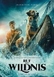 Ruf der Wildnis Film (2020), Kritik, Trailer, Info | movieworlds.com