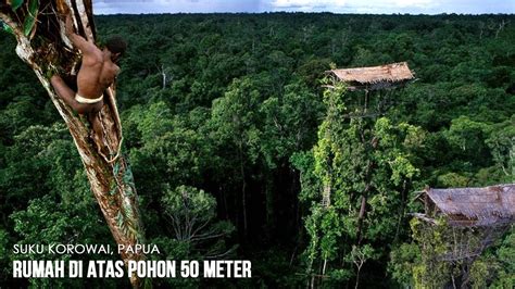 Suku Korowai Tinggal Di Rumah Pohon Tertinggi Mencapai 50 Meter Di Papua Indonesia Youtube