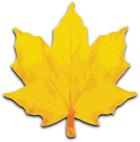 Maple Foliage Fall · Free Vector Graphic On Pixabay