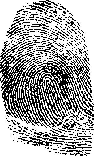 Free Fingerprint Png Transparent Images Download Free Fingerprint Png