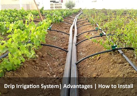 Irrigation System For Our Garden What Irrigation To Put Complete