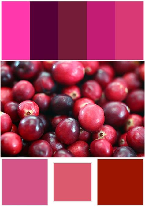 Cranberry Color Effy Moom