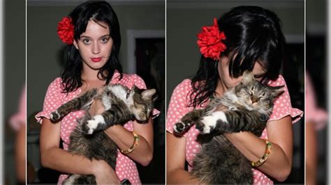 Katy Perry Pens Emotional Note On Social Media As Her Pet Cat Kitty