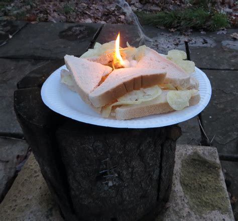 📷 Burning Crisp Sandwich On A Plate On A Log