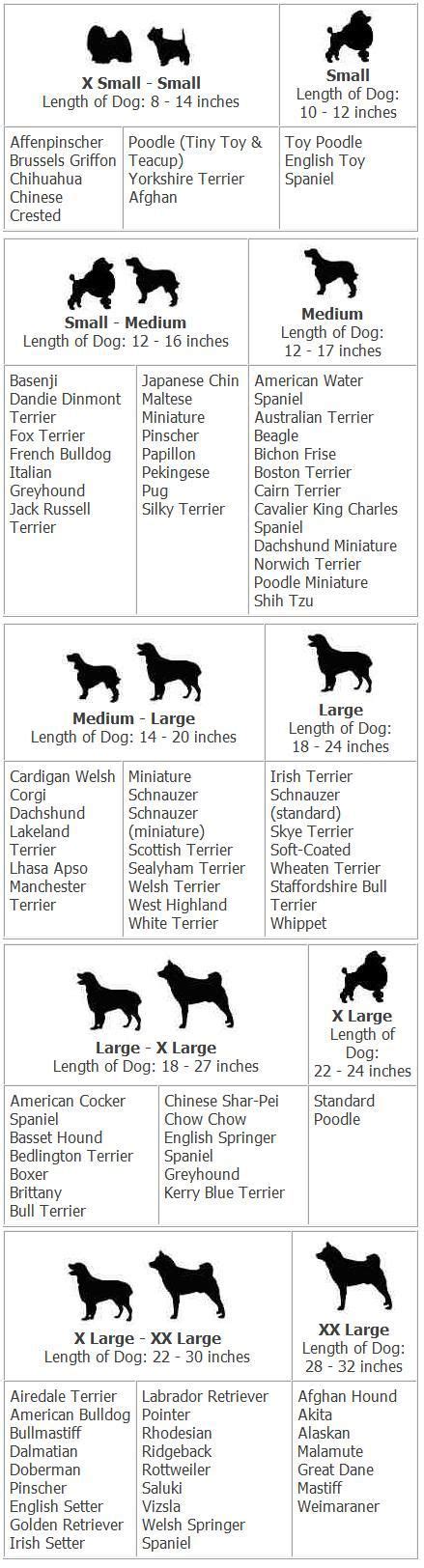 Grooming Charts For Dogs