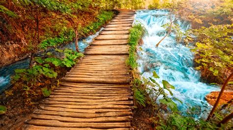 Wooden Path Cool Nature Wallpapers Amazing Landscape