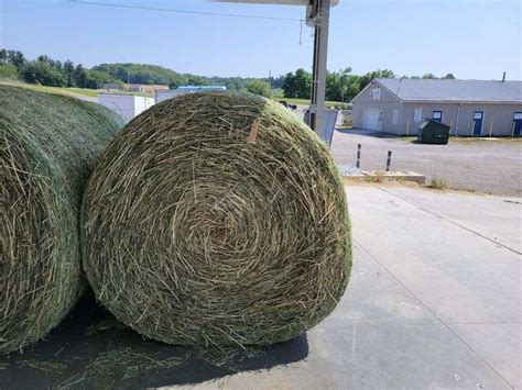 2 Round Bales 1st Alfalfa Orchard Grass 4x5 2023 Rogers Community